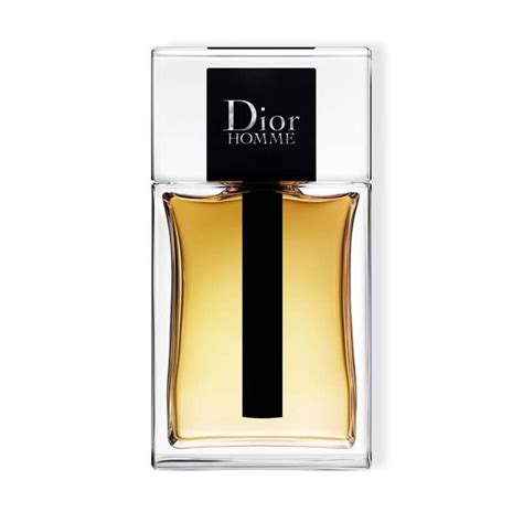 dior homme 2020 sample